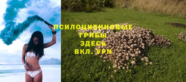 PSILOCYBIN Гусев