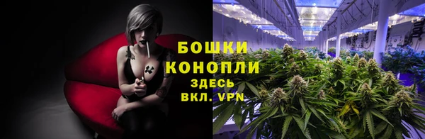 бошки Гусиноозёрск