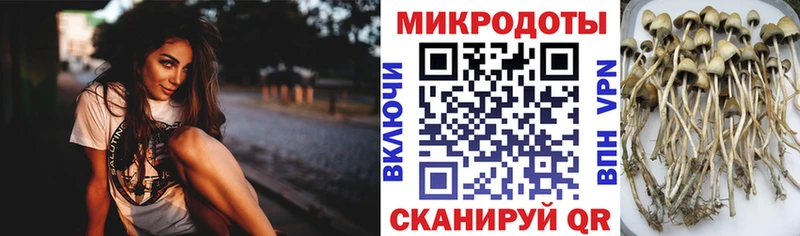 Псилоцибиновые грибы MAGIC MUSHROOMS  Оха 